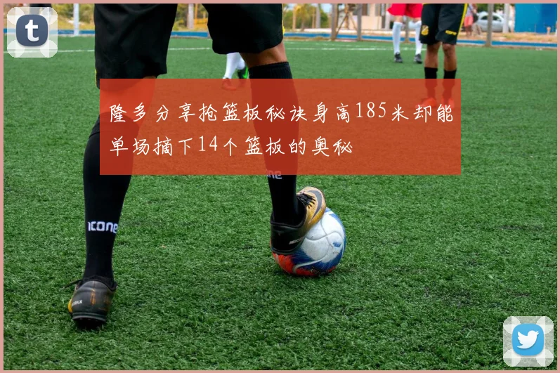 隆多分享抢篮板秘诀身高185米却能单场摘下14个篮板的奥秘