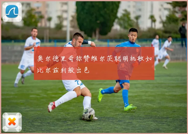 奥尔德里奇称赞维尔茨聪明机敏如比尔兹利般出色