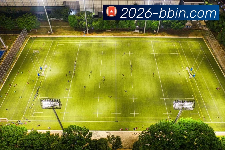 多媒体互动体验