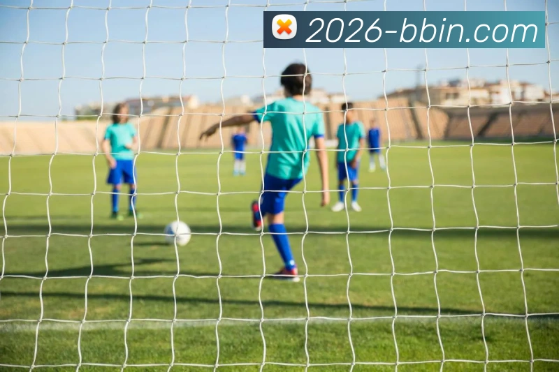 BBIN体育APP 高清赛事图